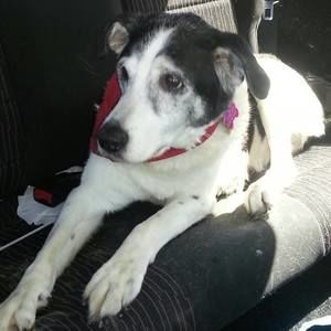 Meet your Posher, Kelly